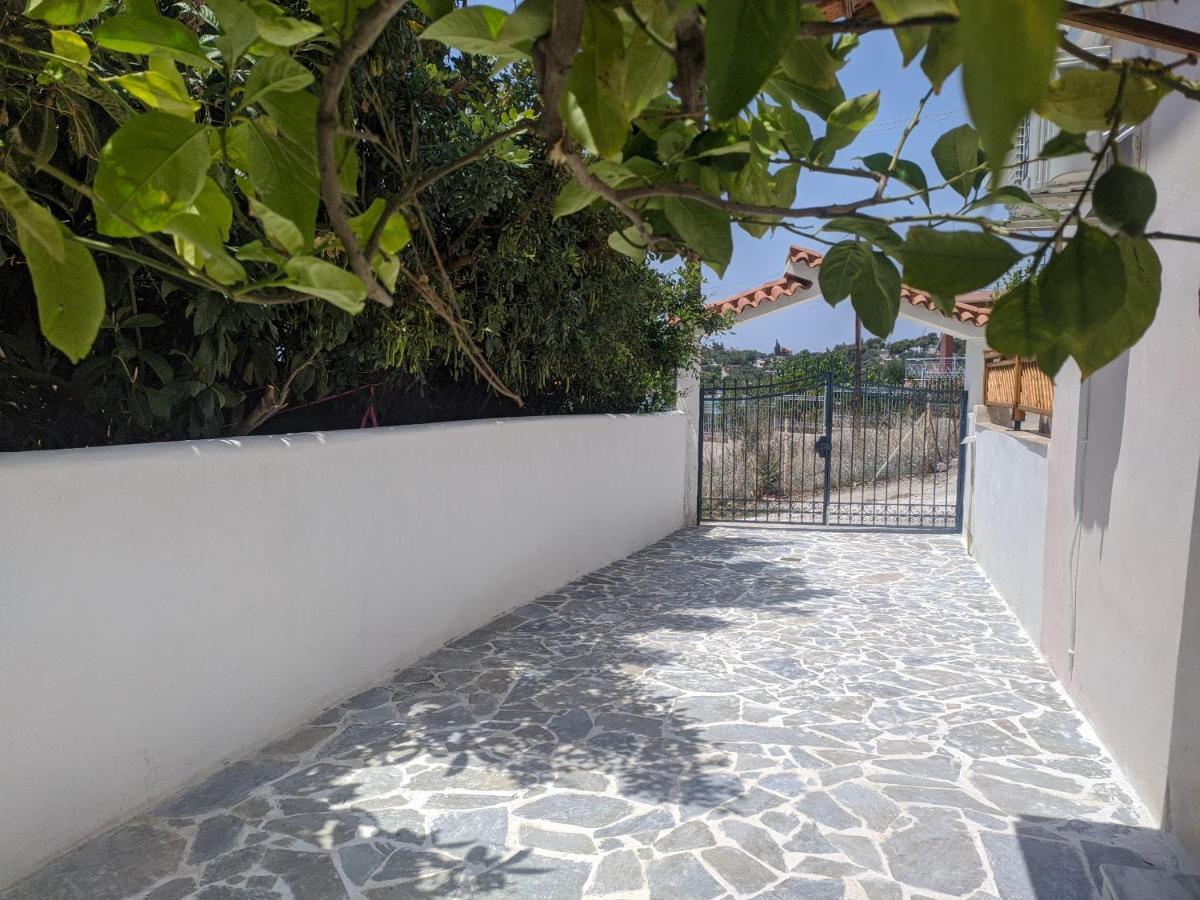 Iliakti Relaxing Seaside Villa Salamis Exteriör bild